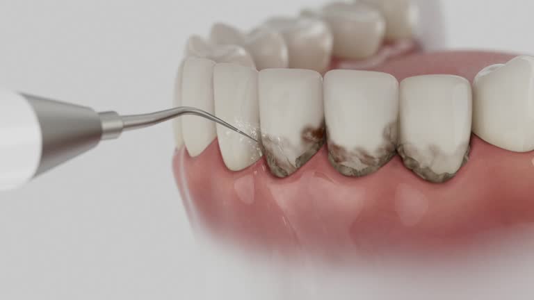 Reliable Dental contractor in Blue Springs, MO by Dentist Open Now